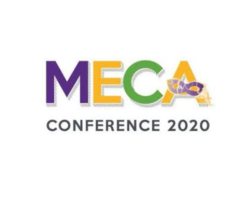 MS Educational Computing Association (MECA)