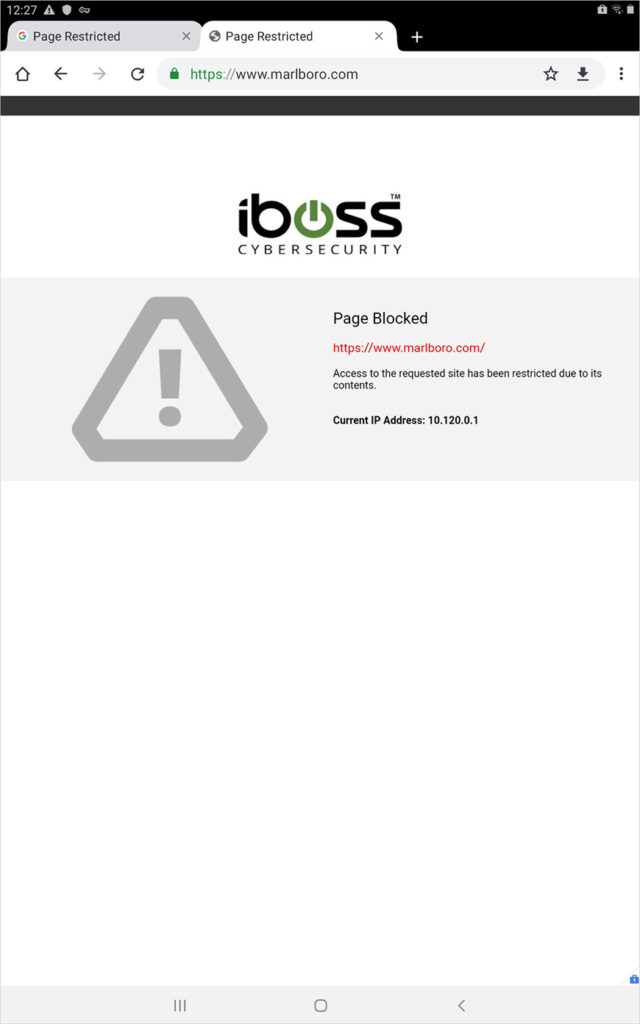 Page is blocked due to the restriction on the Alcohol & Tobacco web category
